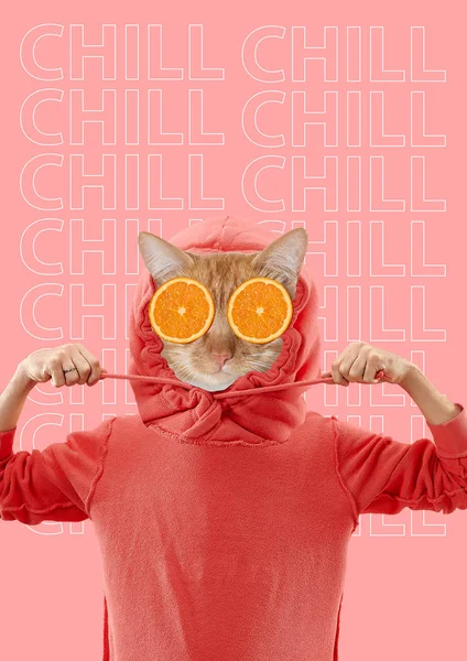 Collage d'art contemporain. Un chat sans abri. Style de mode minimal — Photo