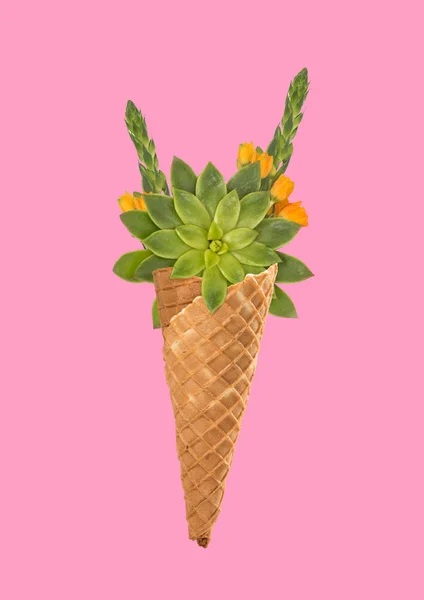 Une glace naturelle. Design moderne. Collage d'art contemporain . — Photo