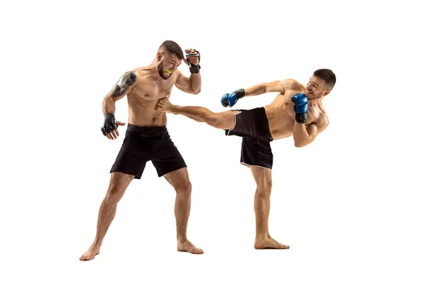Två professionella boxare boxning isolerade på vita studio bakgrund — Stockfoto