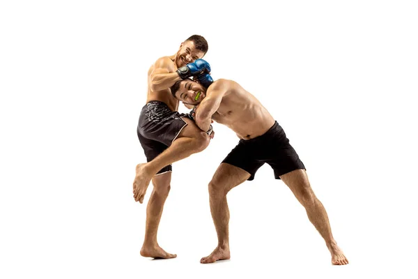 Due pugili professionisti boxe isolato su sfondo bianco studio — Foto Stock