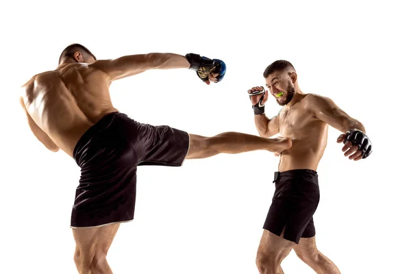 Dois boxers profissionais boxe isolado no fundo do estúdio branco — Fotografia de Stock