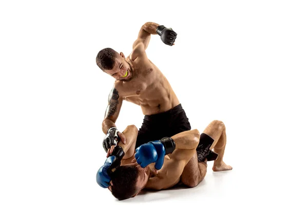 Beyaz stüdyo arka plan üzerinde iki profesyonel boksörler boks izole — Stok fotoğraf