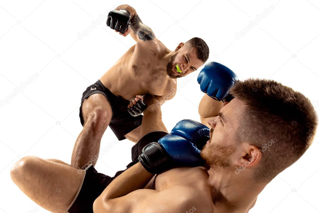 Two professional boxers boxing isolated on white studio background