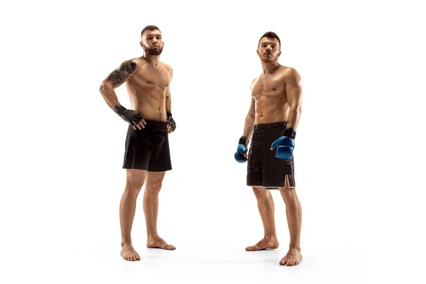 Dos boxeadores profesionales de boxeo aislados en el fondo del estudio blanco — Foto de Stock