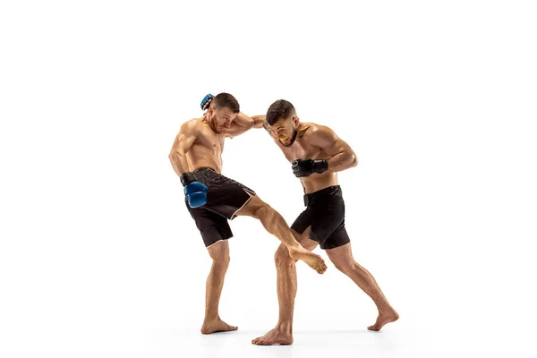 Dwóch profesjonalnych bokserów, Boks na białym tle na tle białego studia — Zdjęcie stockowe