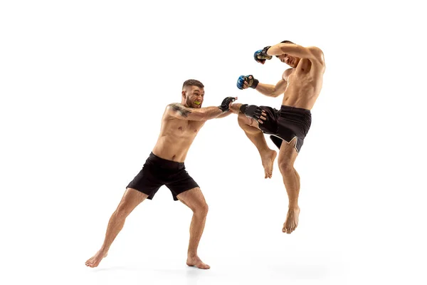 Doi boxeri profesioniști de box izolați pe fundalul studioului alb — Fotografie, imagine de stoc