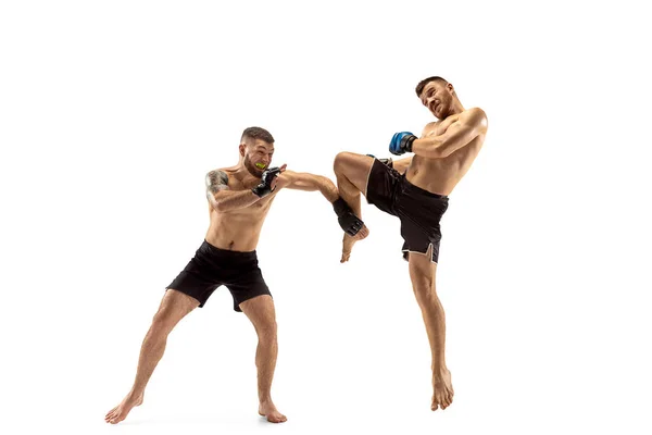 Dois boxers profissionais boxe isolado no fundo do estúdio branco — Fotografia de Stock
