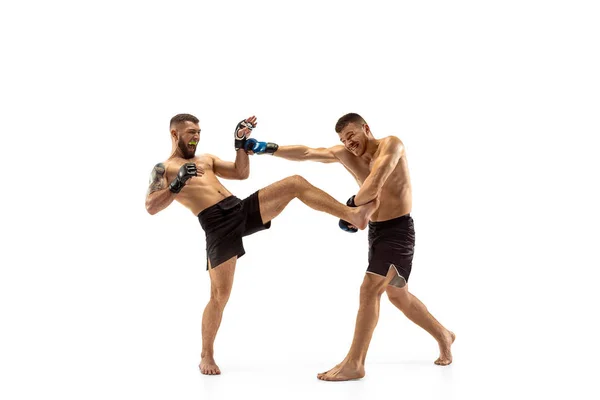 Dos boxeadores profesionales de boxeo aislados en el fondo del estudio blanco —  Fotos de Stock