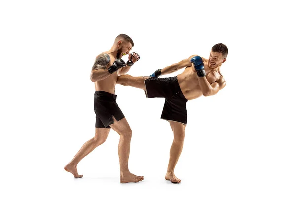 Deux boxeurs professionnels de boxe isolés sur fond de studio blanc — Photo