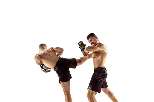 Dois boxers profissionais boxe isolado no fundo do estúdio branco — Fotografia de Stock