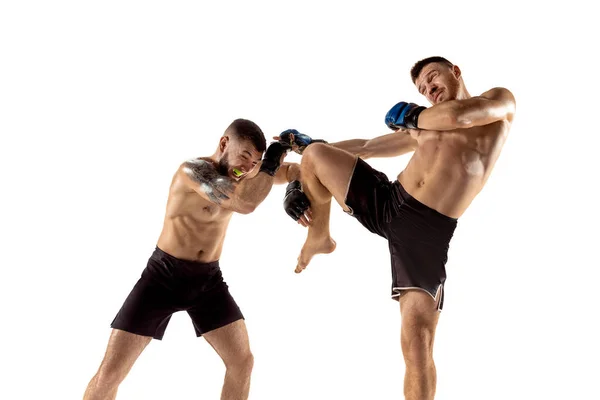 Dois boxers profissionais boxe isolado no fundo do estúdio branco — Fotografia de Stock