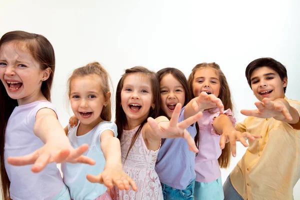 The portrait of cute little boy and girls in stylish clothes looking at camera at studio — Stock Photo, Image