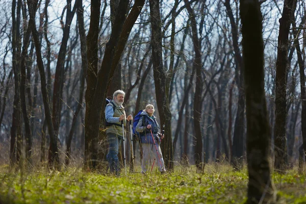 Travel and tourism. Family couple enjoying walk together