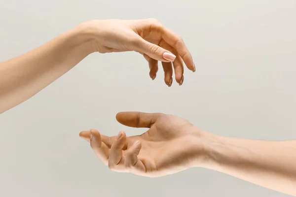 Мужские и женские руки демонстрируют жест прикосновения изолированные на сером фоне — стоковое фото