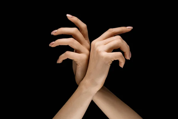 Mains masculines et féminines manifestant un geste de toucher isolé sur fond gris — Photo