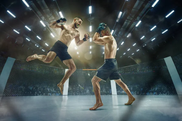 Dos boxeadores profesionales boxeando en el ring — Foto de Stock