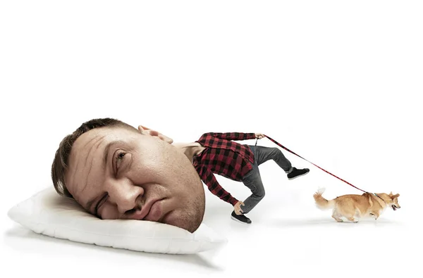 Big head on small body lying on the pillow — Stock Photo, Image