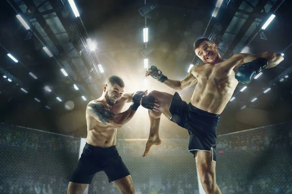 Dos boxeadores profesionales boxeando en el ring — Foto de Stock