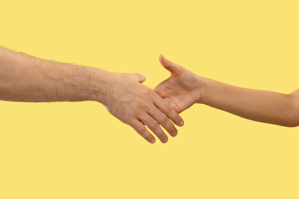 Closeup shot of human holding hands isolated on yellow studio background. — Stock Photo, Image