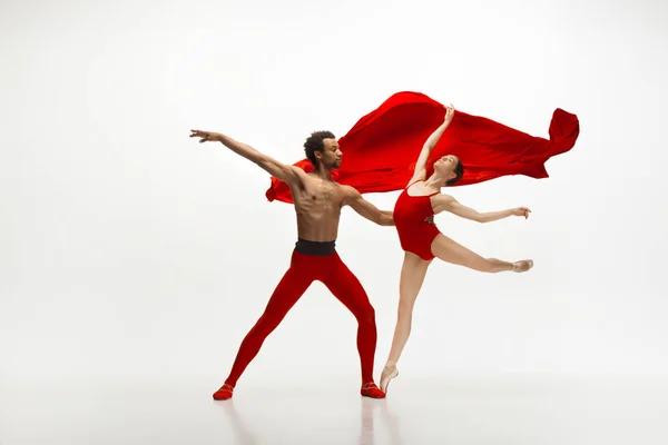 Beyaz stüdyo arka planında dans eden birkaç zarif balerin. — Stok fotoğraf