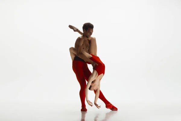 Junge anmutige paar Balletttänzer tanzen auf weißem Studiohintergrund — Stockfoto