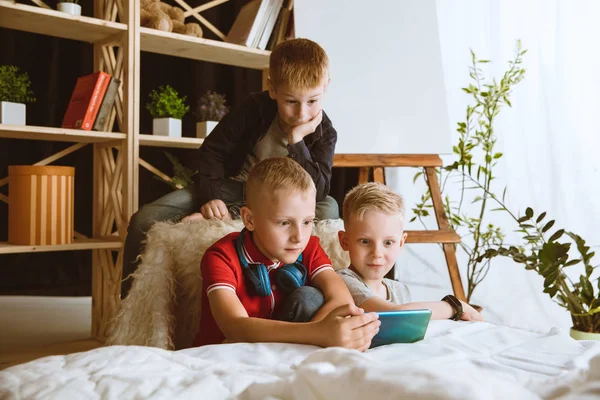 Μικρά αγόρια που χρησιμοποιούν διαφορετικές μικροεφαρμογές στο σπίτι — Φωτογραφία Αρχείου