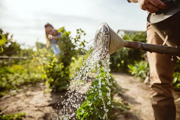 Pasangan petani muda dan bahagia di kebun mereka di hari yang cerah — Stok Foto