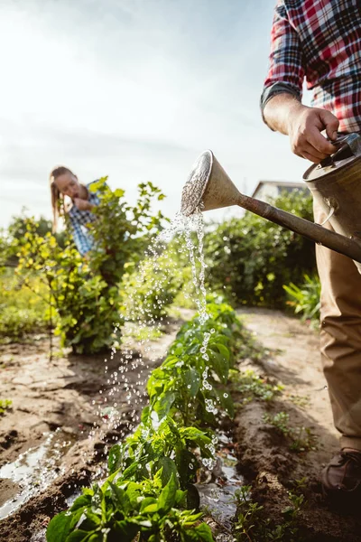 Junges und glückliches Bauernpaar bei sonnigem Tag in seinem Garten — Stockfoto