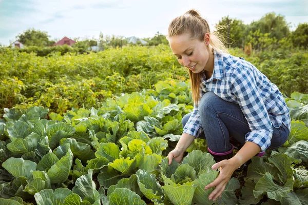 Joven granjero trabajando en su jardín en un día soleado — Foto de Stock