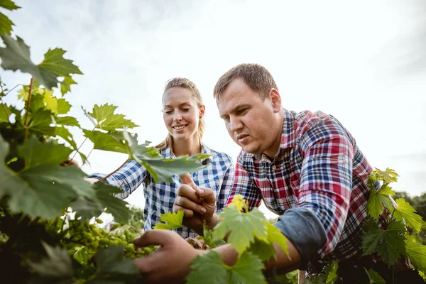 Jóvenes y felices granjeros se unen en su jardín en un día soleado — Foto de Stock