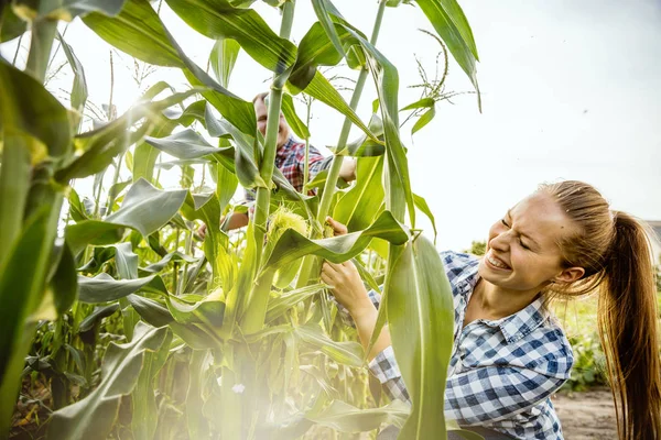 Junges und glückliches Bauernpaar bei sonnigem Tag in seinem Garten — Stockfoto