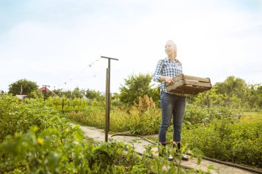 Güneşli bir günde bahçesinde çalışan genç çiftçi