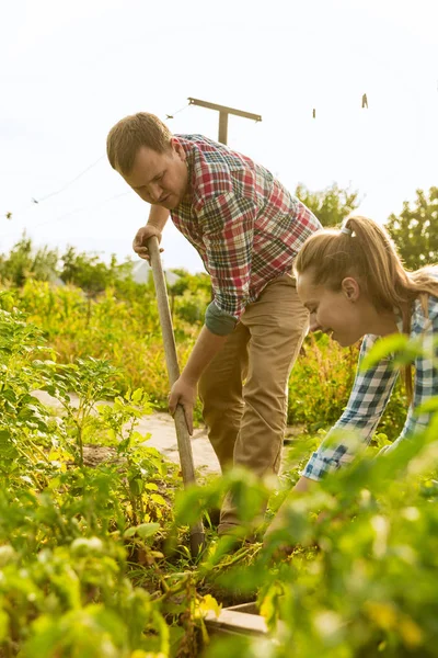 Junges und glückliches Bauernpaar bei sonnigem Tag in seinem Garten — Stockfoto