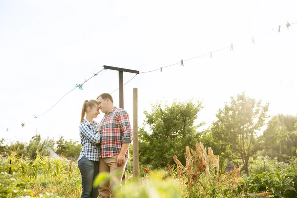 Jóvenes y felices granjeros se unen en su jardín en un día soleado —  Fotos de Stock