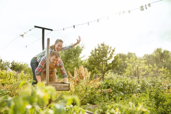 Pasangan petani muda dan bahagia di kebun mereka di hari yang cerah — Stok Foto