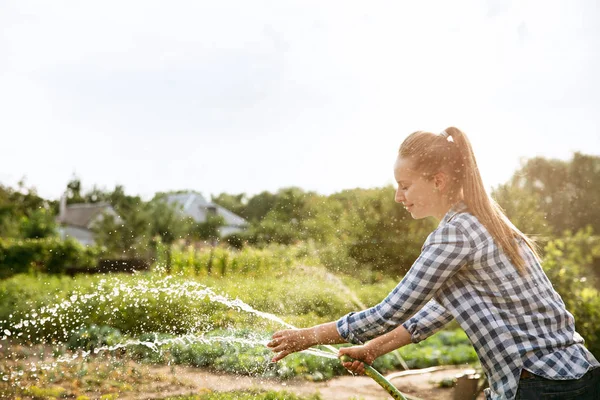 Young farmer working at his garden in sunny day — Stock Photo, Image