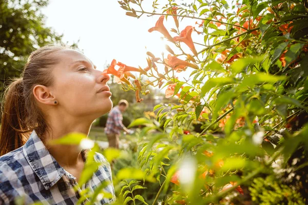 Pasangan petani muda dan bahagia di kebun mereka di hari yang cerah — Stok Foto