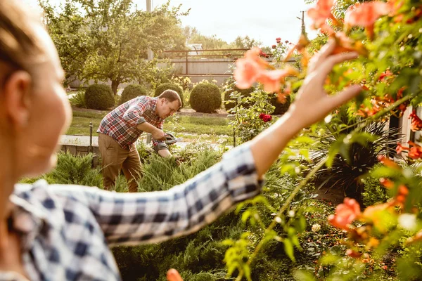 Jóvenes y felices granjeros se unen en su jardín en un día soleado — Foto de Stock