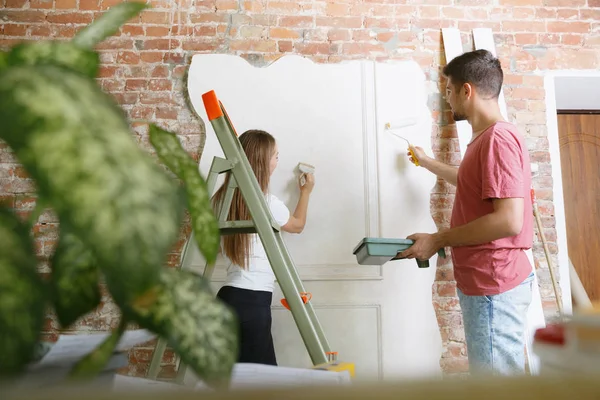 Pareja joven haciendo reparación de apartamentos juntos — Foto de Stock