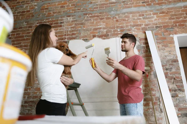 Pareja joven haciendo reparación de apartamentos juntos —  Fotos de Stock