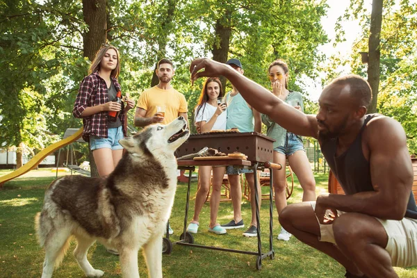 Szczęśliwi przyjaciele mają piwo i grill party w słoneczny dzień — Zdjęcie stockowe