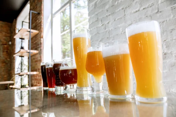 Vasos de diferentes tipos de cerveza, tiempo para oktoberfest —  Fotos de Stock