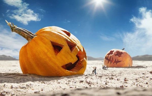 Velká dýně v poušti za slunečného dne, prodej a Halloweenské pojetí — Stock fotografie