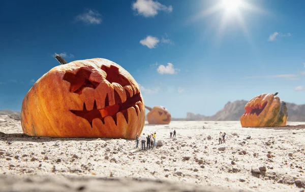 Velká dýně v poušti za slunečného dne, prodej a Halloweenské pojetí — Stock fotografie