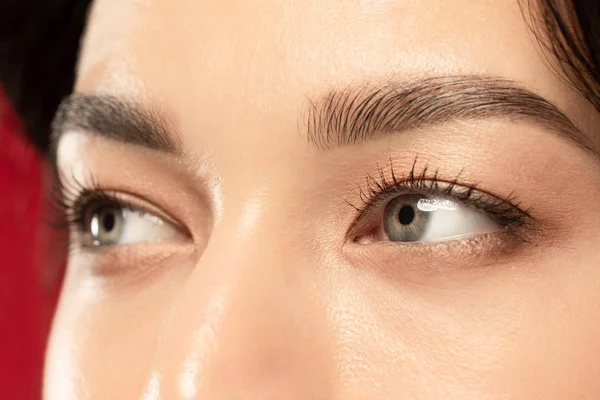 Beaux yeux de jeunes femmes en gros plan, concept parfait de soins de la peau — Photo