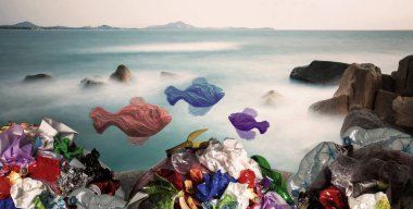 Biz ne yemek - plastik çevre kirliliği kavramı
