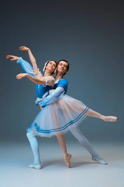 Young and graceful ballet dancers as Cinderella fairytail characters.