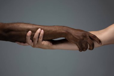 Irksal hoşgörü. Sosyal birliğe saygı göster. Gri stüdyo arka planında izole edilmiş Afrikalı ve beyaz eller.