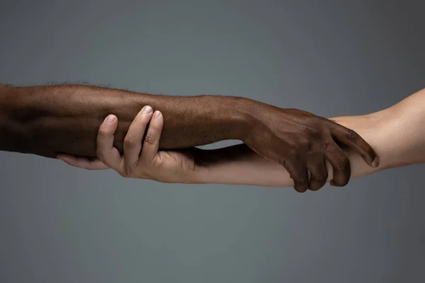 Rasová tolerance. Respektovat společenskou jednotu. Africké a kavkazské ruce gestikulující izolované na šedém pozadí studia — Stock fotografie