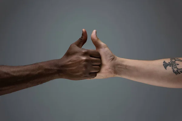 Faji tolerancia. Tiszteld a társadalmi egységet. Afrikai és kaukázusi kéz gesztus elszigetelt szürke stúdió háttér — Stock Fotó